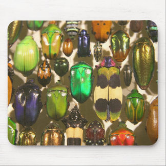 Tapis De Souris Scarabées, insectes et insectes