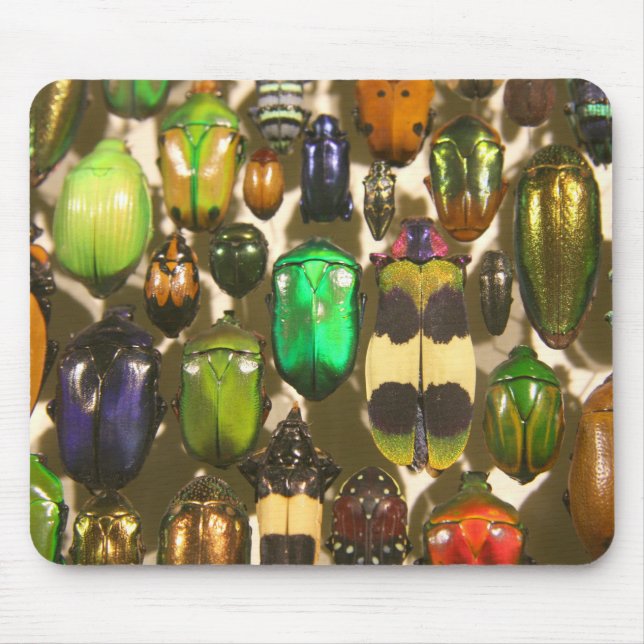 Tapis De Souris Scarabées, insectes et insectes (Devant)