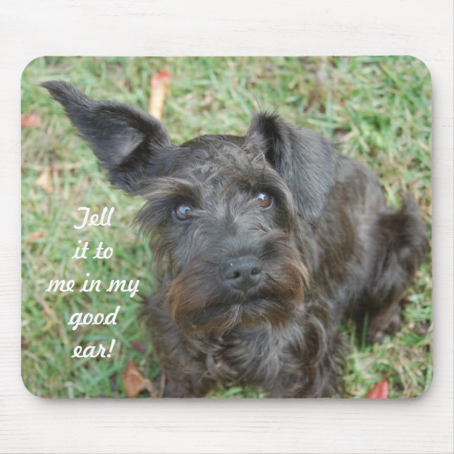 Tapis De Souris Schnauzer (Devant)
