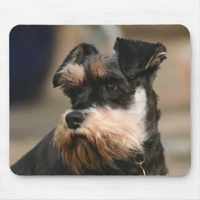 Tapis De Souris schnauzer miniature (Devant)