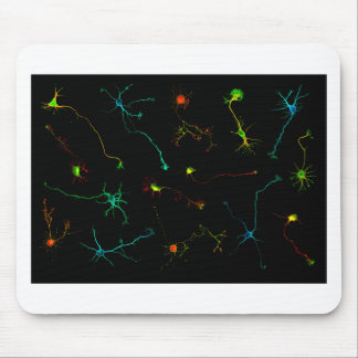 Tapis De Souris science
