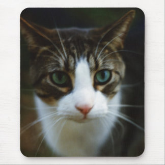 TAPIS DE SOURIS SCOOTER