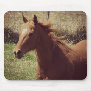 Tapis De Souris Scotch in Motion