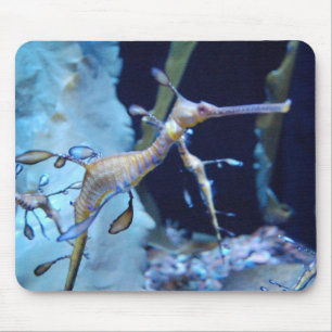 Tapis De Souris SeaDragon