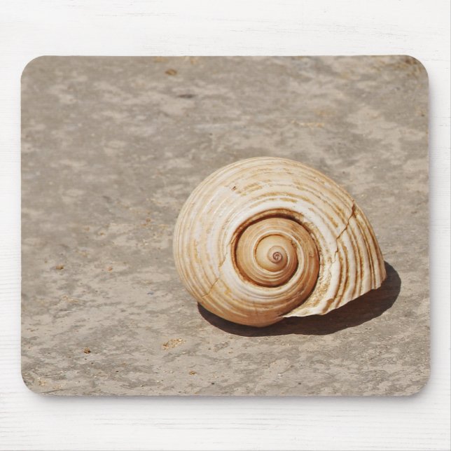 Tapis De Souris SeaShell (Devant)
