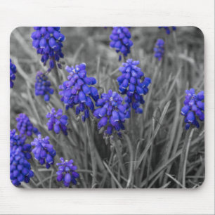 Tapis De Souris Sélection de la famille des Hyacinthes de raisins