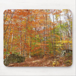 Tapis De Souris Sentier Automnal Tacheté de Soleil à Laurel Hill P