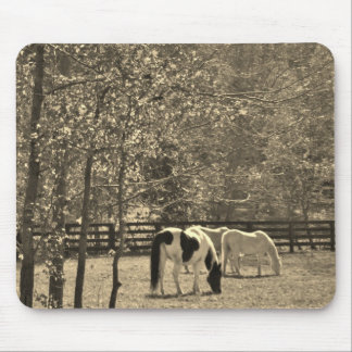 Tapis De Souris Sepia Tone Photo du Cheval