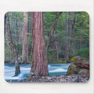 Tapis De Souris Séquoias & Merced River Parc national de Yosemite,