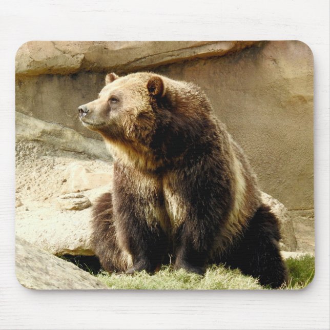 Tapis De Souris Série animale de Mousepad - ours gris (Devant)