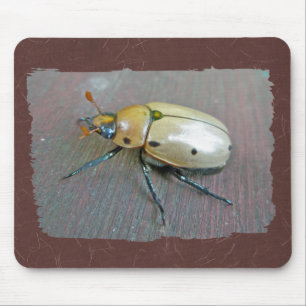 Tapis De Souris Série du dendroctone du pin (Pelidnota punctata)