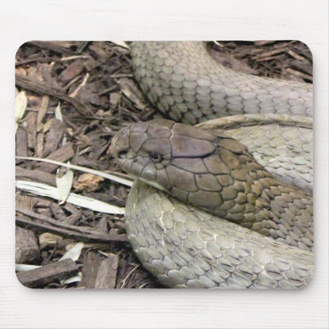 Tapis De Souris Serpent (Devant)