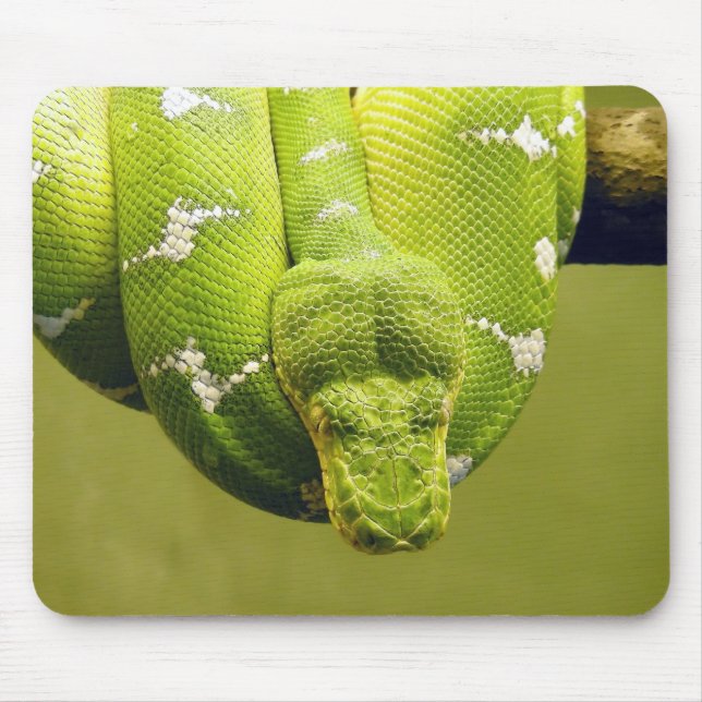 Tapis De Souris Serpent (Devant)