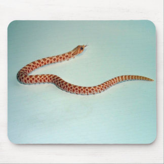 Tapis De Souris Serpent de Hognose albinos de bébé Mousepad