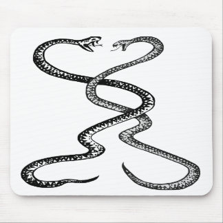 Tapis De Souris Serpents dans le pavé de souris de combat