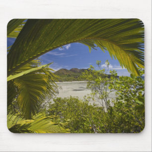 Tapis De Souris Seychelles, île Curieuse, baie Laraie