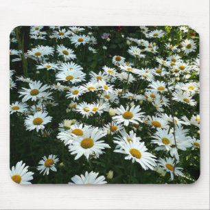 Tapis De Souris Shasta Daisies