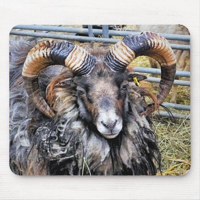 TAPIS DE SOURIS SHEEP (Devant)