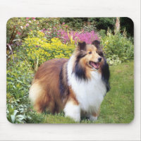 Sheltie Mousepad