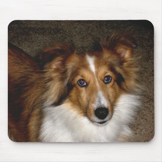 Tapis De Souris ~ Sheltie Mousepad de chien de berger de Shetland (Devant)