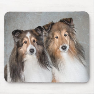 Tapis De Souris Shelties