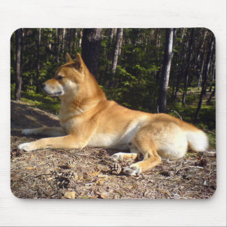 Tapis De Souris Shiba-Inu