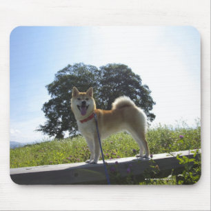 Tapis De Souris Shiba Inu