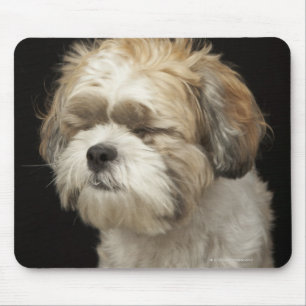 Tapis De Souris Shih Brown et blanc Tzu avec des yeux s'est fermé