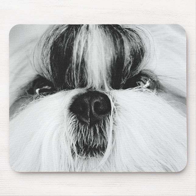 Tapis De Souris Shih Tzu (Devant)