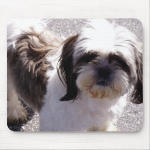 Tapis De Souris Shih-Tzu