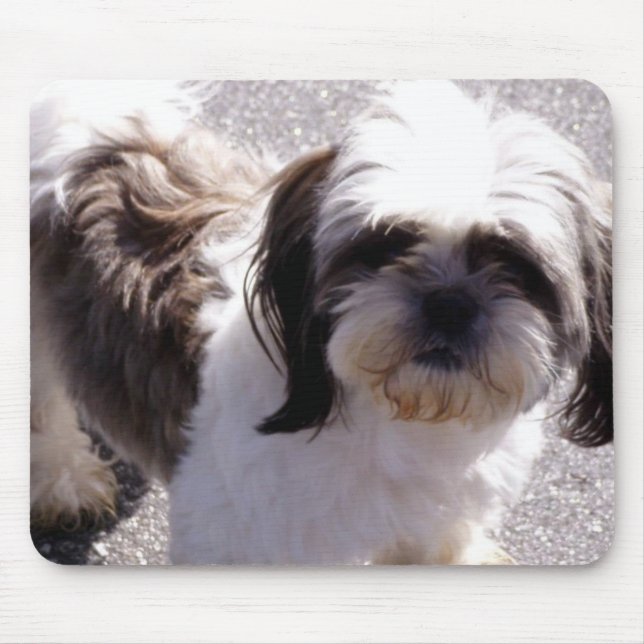 Tapis De Souris Shih-Tzu (Devant)