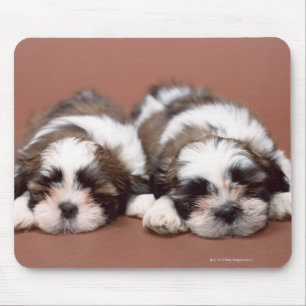 Tapis De Souris Shih Tzu