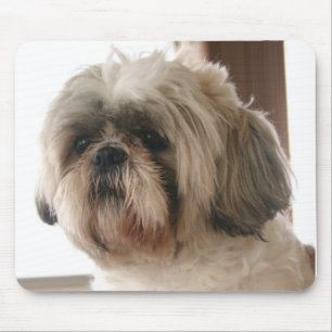 Tapis De Souris Shih Tzu Mousepad