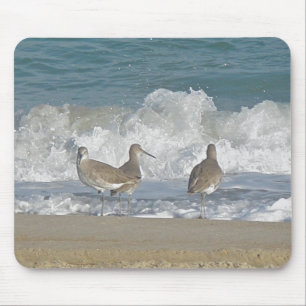Tapis De Souris Shore Bird Trio Mousepad