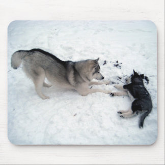 Tapis De Souris Siberian Huskies