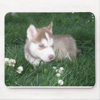 Tapis De Souris Sibérie Husky Puppy Mousepad
