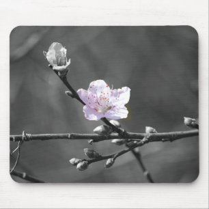 Tapis De Souris Signe des fleurs de cerisier roses