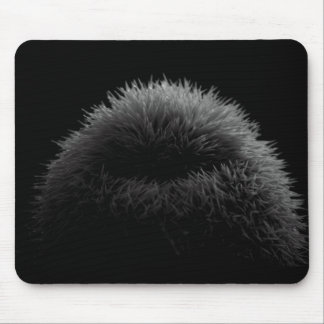 Tapis De Souris Silhouette de B&W