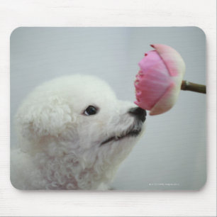 Tapis De Souris Singapour 9