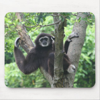 Tapis De Souris Singe de ondulation
