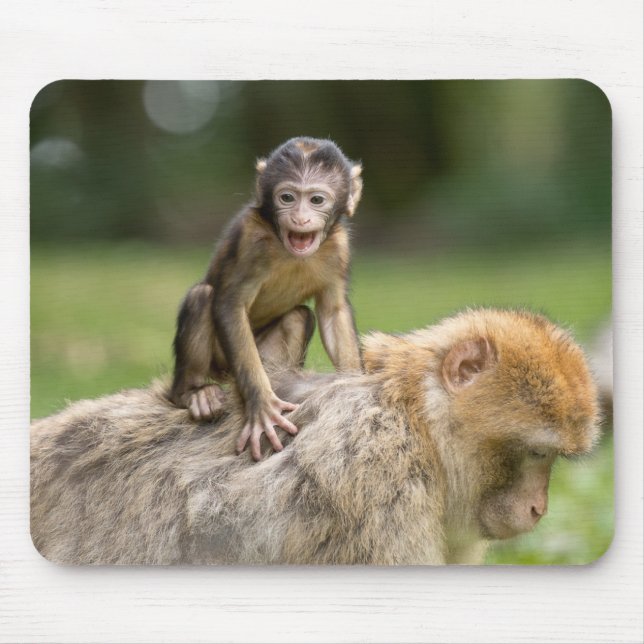 Tapis De Souris Singe Mousepad (Devant)