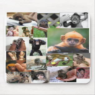 Tapis De Souris Singe Mousepad