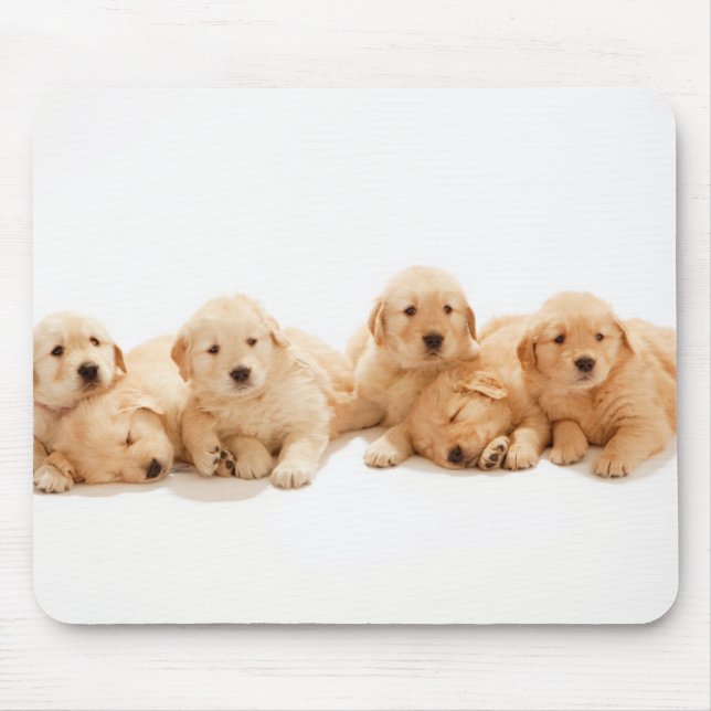 Tapis De Souris Six Marionnettes Golden Retriever (Devant)