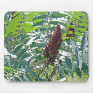 Tapis De Souris Smooth Sumac Berries