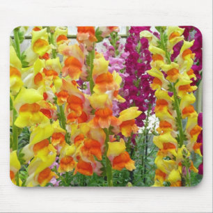 Tapis De Souris Snapdragons colorés floraux