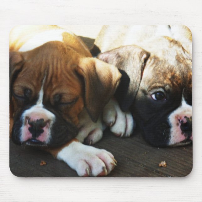 Tapis De Souris Snoozing boxpups mousepad (Devant)