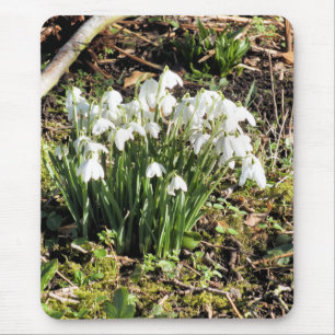 TAPIS DE SOURIS SNOWDROPS