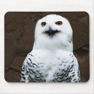 Tapis De Souris Snowy Owl mpcna