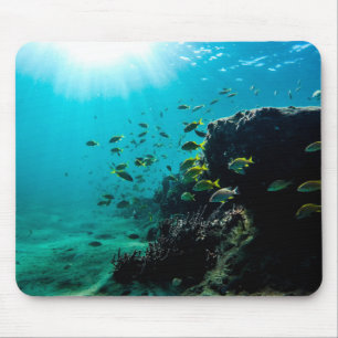 Tapis De Souris Soleil et poissons tropicaux