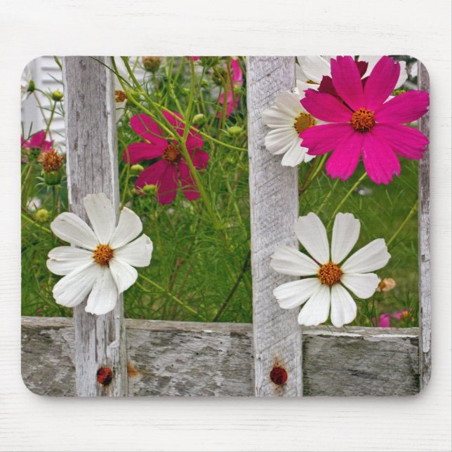 Tapis De Souris Sortir (Devant)